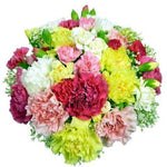 Multicolored Carnations with Gypsophila
