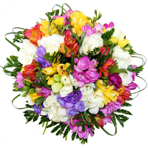 Multicolored Freesias with Greenery