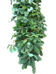 Natural Green Garland with Eucalyptus - Flowers Box London