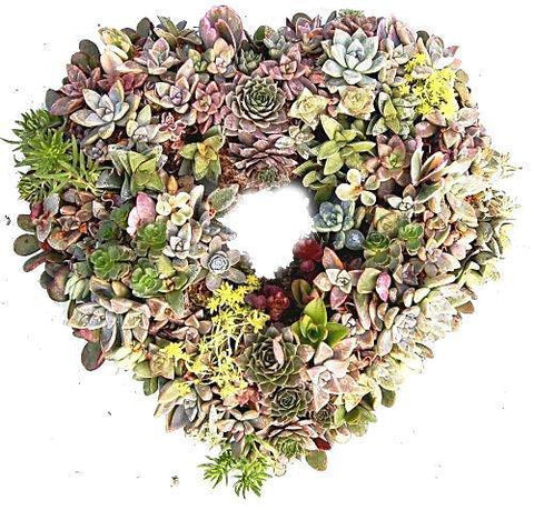 Natural Succulent Open Heart - Flowers Box London