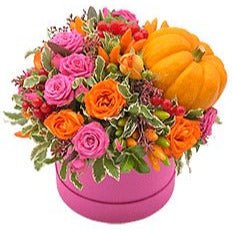 Orange and Pink Flowers in Box with Pumpkin - Flowers Box London