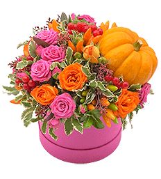 Orange and Pink Flowers in Box with Pumpkin