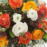 Orange and White Ranunculus Bouquet