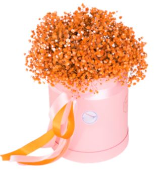 Orange Baby's Breath Box