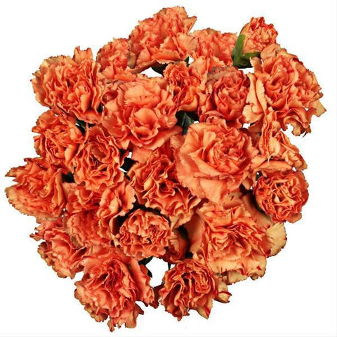 Orange Carnations Bouquet - Flowers Box London