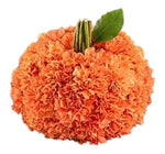 Orange Carnations Pumpkin