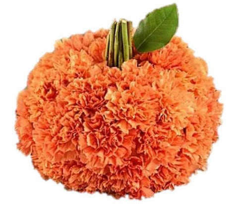 Orange Carnations Pumpkin - Flowers Box London