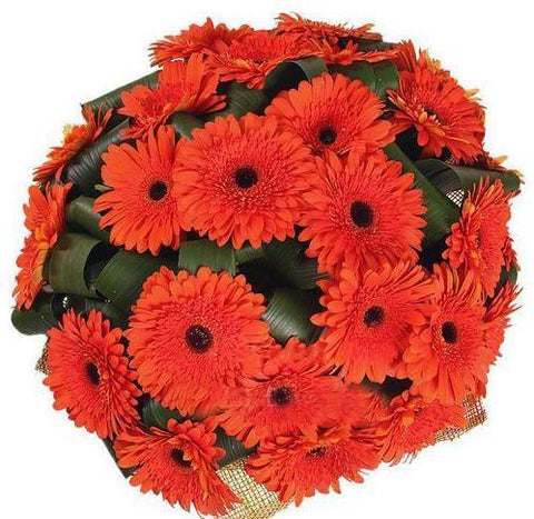 Orange Gerbera with Greenery