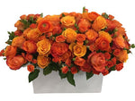 Orange Roses Composition