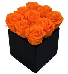 Orange Roses Signature Box