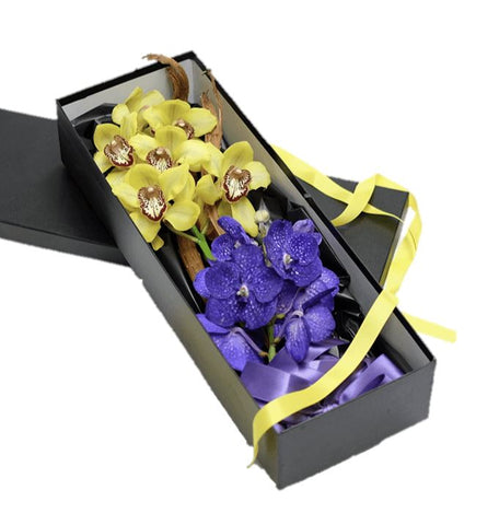 Orchids Luxury Box with Wood Decor