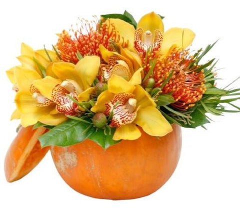 Orchids Pumpkin Arrangement - Flowers Box London
