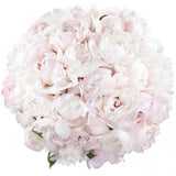 Pale Pink Peony Bouquet - Flowers Box London