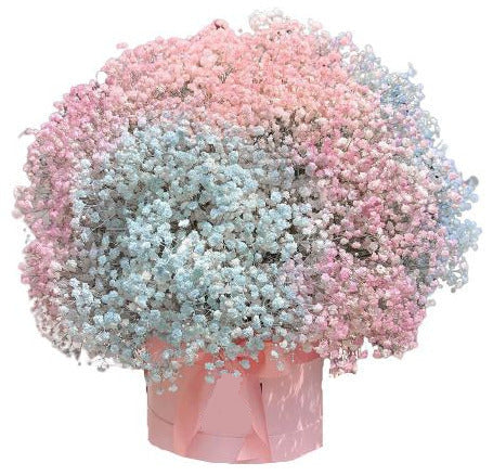 Pastel Baby's Breath Box