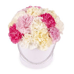 Pastel Carnations Box