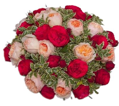 Peach and Red Luxury Garden Roses Bouquet