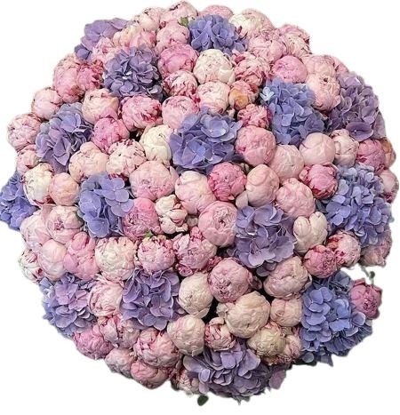 Peonies with Hydrangea Luxury Bouquet - Flowers Box London