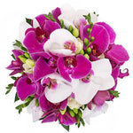 Phalaenopsis Bouquet