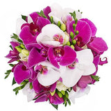 Phalaenopsis Orchids Bouquet - Flowers Box London