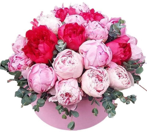 Pink and Cerise Peonies Box