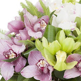Pink and Green Cymbidium Orchids Bouquet - Flowers Box London