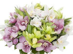 Pink and Green Cymbidium Orchids Bouquet - Flowers Box London