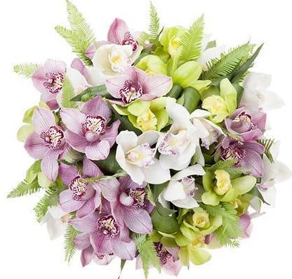 Pink and Green Cymbidium Orchids Bouquet