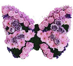 Pink and Purple Butterfly