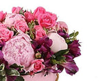 Pink and Purple Hat Box