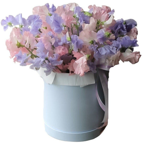 Pink and Purple Sweet Pea Box