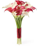 Pink and White Calla Lily Bouquet