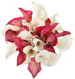 Pink and White Calla Lily Bouquet