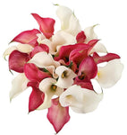 Pink and White Calla Lily Bridal Bouquet