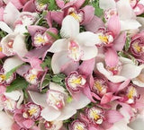 Pink and White Cymbidium Orchids Bouquet - Flowers Box London