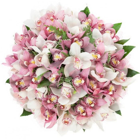 Pink and White Cymbidium Orchids Bouquet