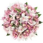 Pink and White Cymbidium Orchids Bouquet - Flowers Box London