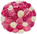 Pink and White Fragrant Garden Roses Hat Box