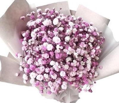Pink and White Gypsophila Bouquet