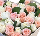 Pink and White Rose in Heart Box