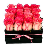 Pink Roses in a Signature Box