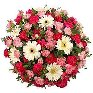 Pink Carnation & Gerbera Posy - Flowers Box London