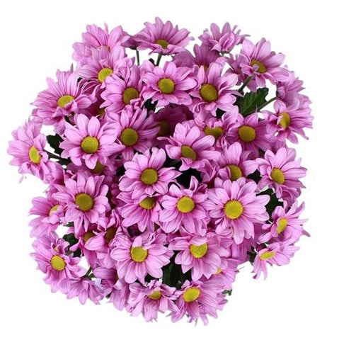 Pink Chrysanthemum Bouquet