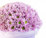 Pink Daisy Hat Box - Flowers Box London