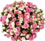 Pink & Ivory Spray Roses