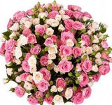 Pink & Ivory Spray Roses Bouquet - Flowers Box London