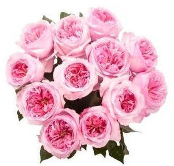Pink Luxury Garden Roses - Flowers Box London