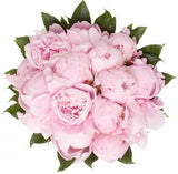Pink Pearls Bouquet - Flowers Box London