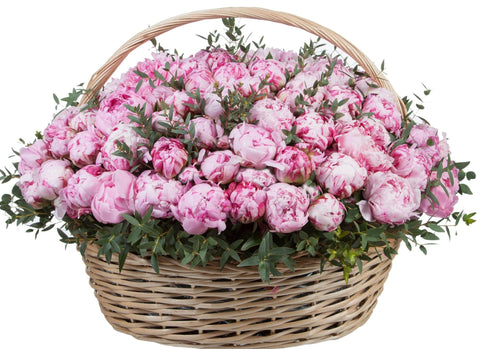 Pink Peonies in the Basket - Flowers Box London