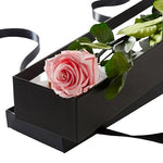 Pink Preserved Rose Stems