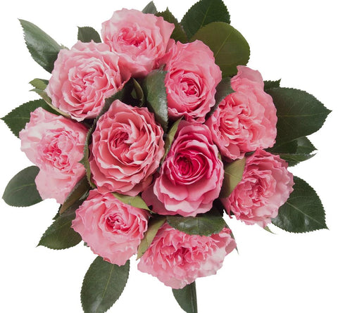 Pink Roses Bouquet with Greenery